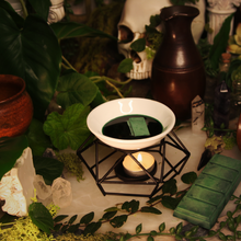 Load image into Gallery viewer, Wax Melts - Adventuring Scents