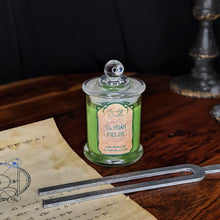 Load image into Gallery viewer, Elysian Fields - Soy Candle - Elysian Fields - Planeshift Candles