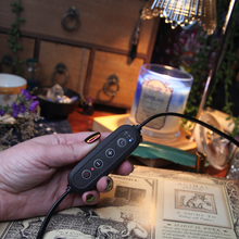 Load image into Gallery viewer, Electric Candle Warmer

