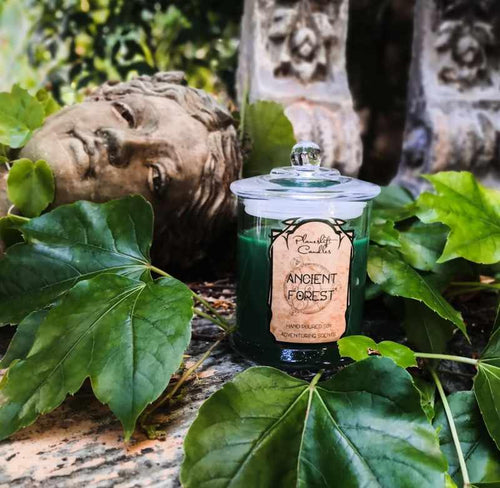 Ancient Forest - Soy Candle - Ancient Forest - Planeshift Candles